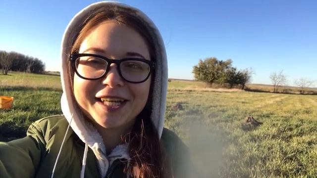 Воскресный стрим смотреть онлайн
