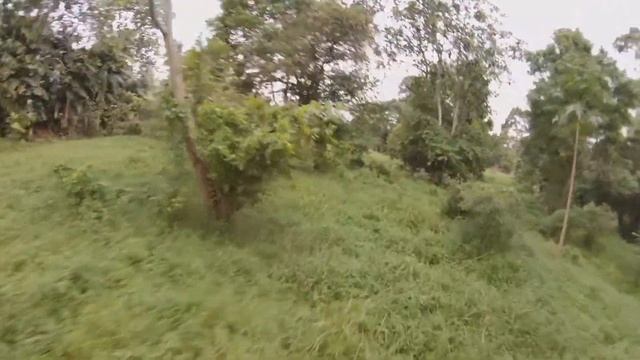 Runcam FPV Camera /freestyle/cinematic/5inch Fpv