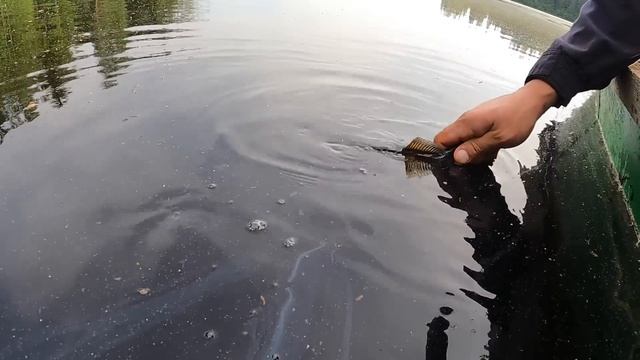 У МОЛОДОЙ МАМЫ НА РЫБАЛКУ 2 ЧАСА 🥹 ЧТО ПОЙМАЛА🫣 СПИННИНГОМ daiwa cima wise stream