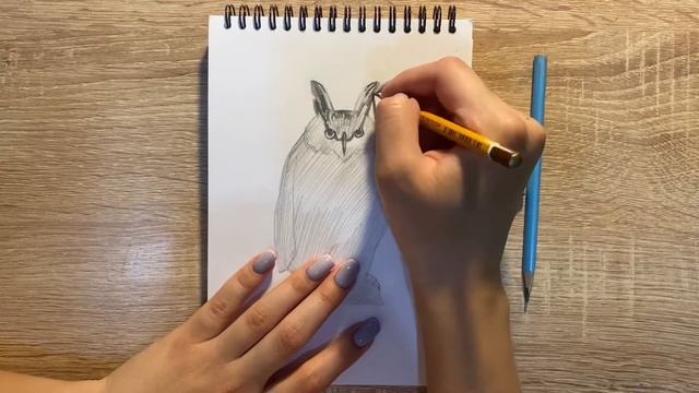 Как нарисовать филина карандашом | Рисунок для начинающих поэтапно смотреть онлайн