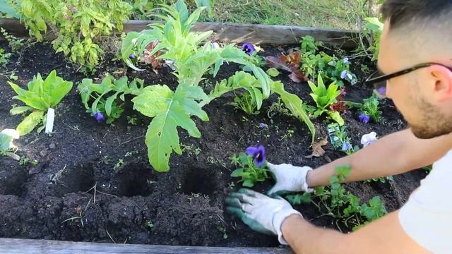 The warm autumn weather is changing our garden смотреть онлайн