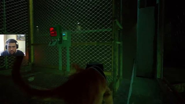 Stray #3 Тайны подземного мира смотреть онлайн