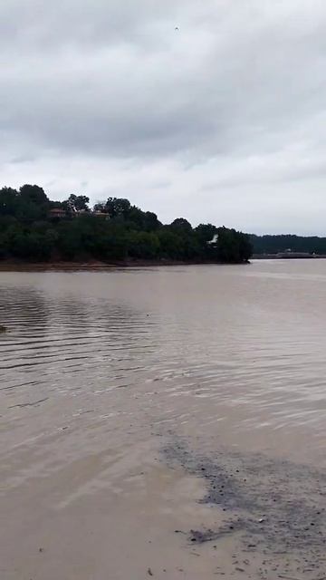 #tawa #bhopallakevewe #bhopal смотреть онлайн