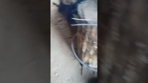 Кузнечный механический молот "ДОБРЯНИН" своими руками.