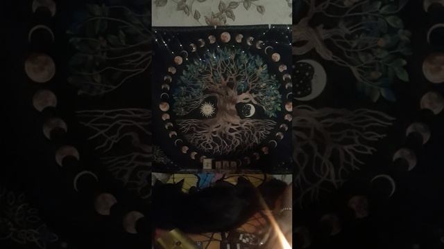 ⁉️💯ТАРО ДЛЯ МУЖЧИН.ЧТО ТОЧНО ПОМЕНЯЕТСЯ В ВАШЕЙ ЖИЗНИ#мысличувствадействия #тародлямужчин #таро 👀👀👀