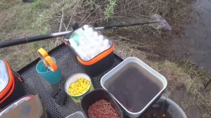 Ловля леща на малой реке! Рыбалка с ночевкой. Что делать, когда не работает мотыль и опарыш...