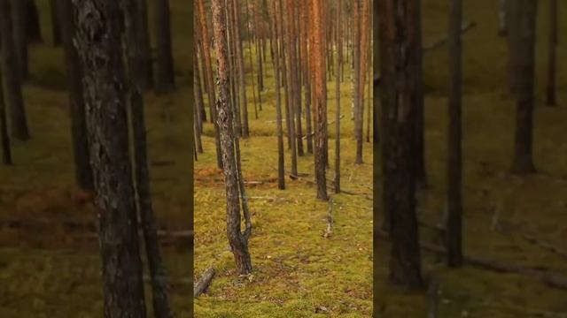 Для путешествий не обяз-но  ехать далеко,начните с вашей области