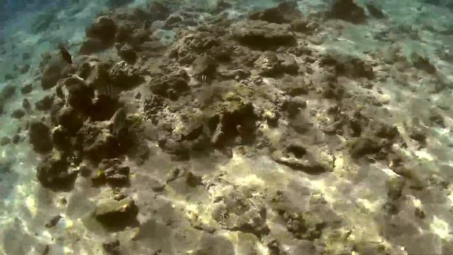 Brayka Bay - Marsa el Alam смотреть онлайн