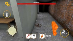 Близнецы на Харде // The Twins