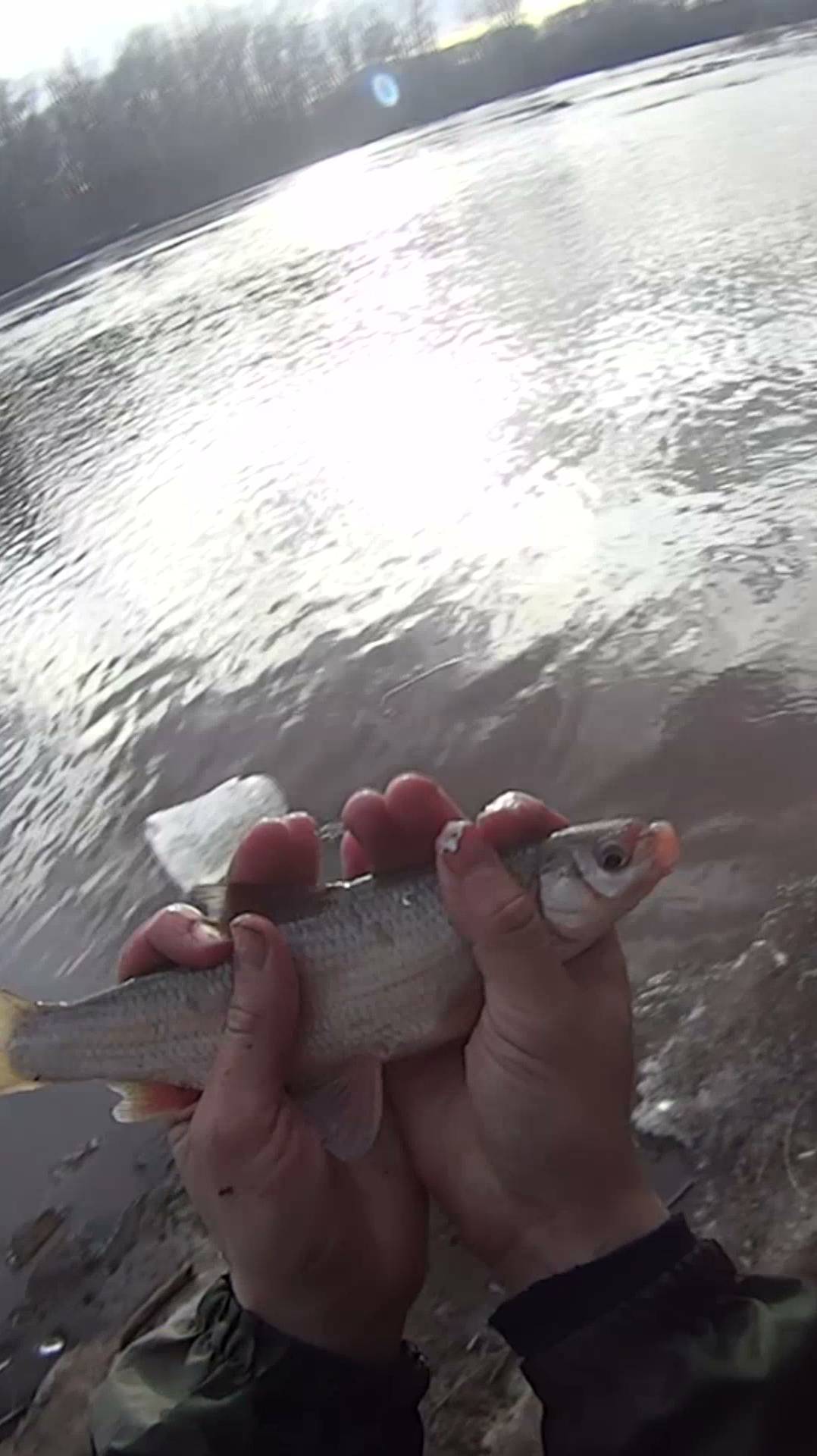 Рыбалка на сеть дорожку или мандавошка! смотреть онлайн