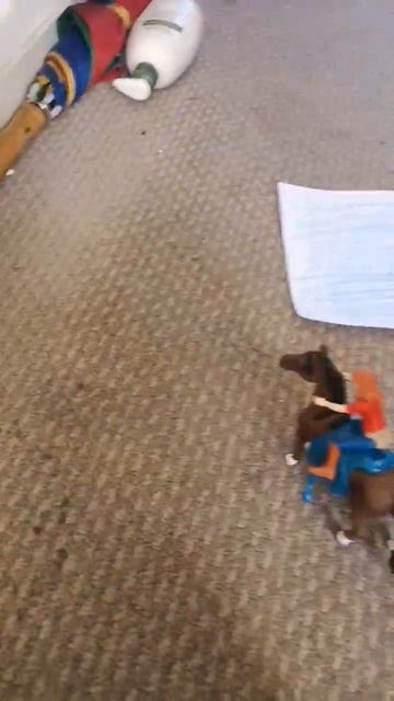 Which horse is your Fav black or bay? смотреть онлайн