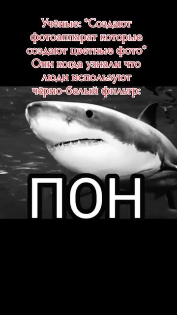 ПОН! #мем #мемы #shorts #пон смотреть онлайн