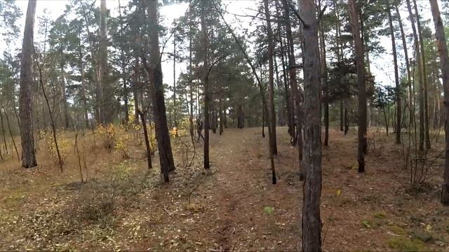 Первенство города Бор "Золотая Осень 2019" смотреть онлайн