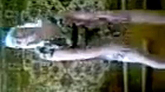 Кум отжигает.. смотреть онлайн