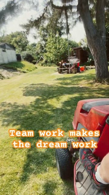 #teamwork getting the grass cut. #stihl battery mower, #pumpkins in the veg patch. #family смотреть онлайн