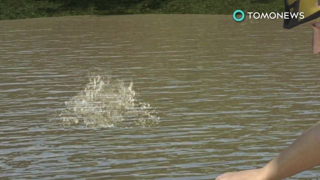 Man Vs. Snake: Florida Flies In Irula Indian Tribesmen To Fix Burmese Python Problem - TomoNews