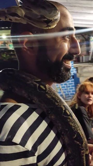 Змея. Чангу. Бали. смотреть онлайн