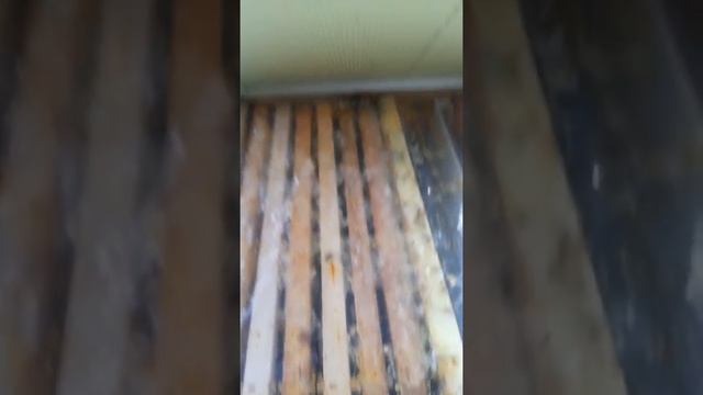 22.01.2022. зимуєм дальше, зимова підгодівля, ситуація на даний час. смотреть онлайн