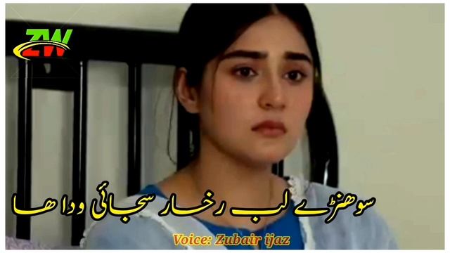 Per shakir ha arman ieho,Shakir best poetry,#shakirsaraikisadpoetry, #Zakhmipoetry смотреть онлайн