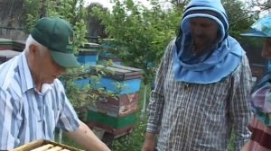 ПАСЕКА НА 145 рамку