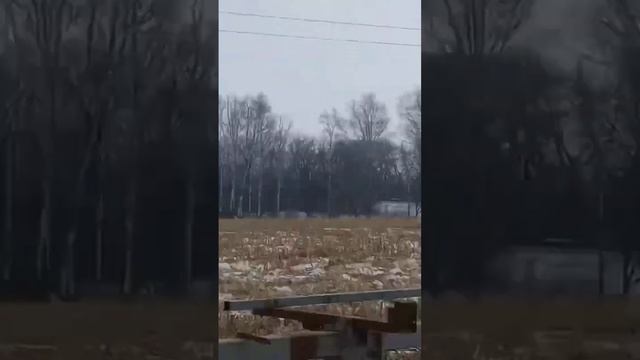 Зимняя уборка кукурузы Claas tucano 450 и Инженер по эксплуатации на L200.)))