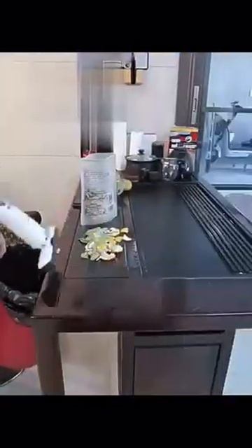 WhatsApp Video 2023 08 22 at 08 59 01 смотреть онлайн