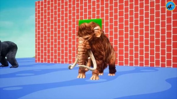 Mystery Box Key Challenge With Gorilla Cow Mammoth Elephant Choose The Right Pool With Tiger Game