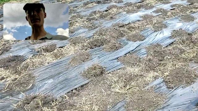 Знову плівка від бур'янів смотреть онлайн