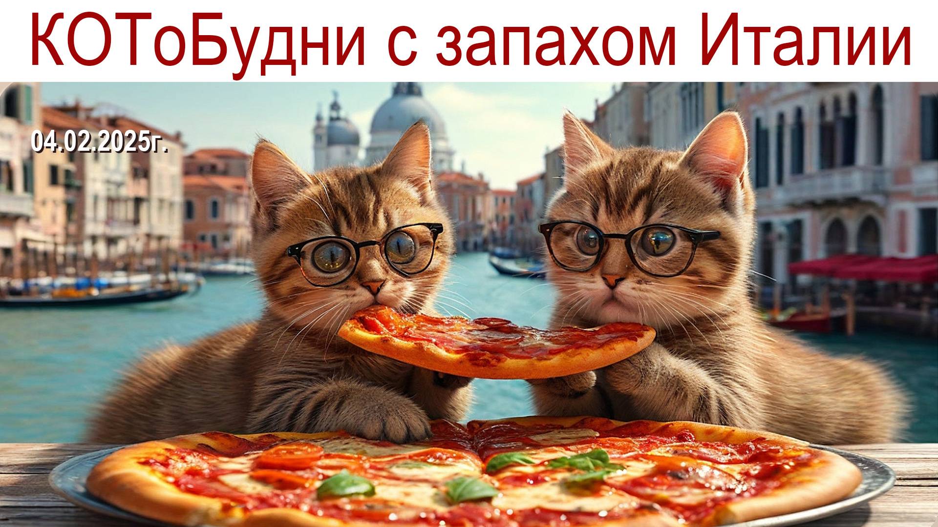 КОТоБудни с ароматом Италии, 04.02.2024г. смотреть онлайн