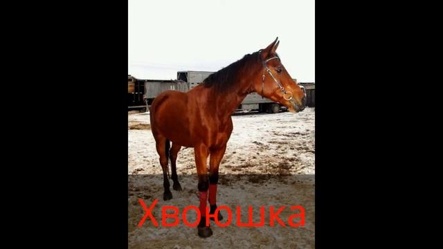 Мое измененное видео смотреть онлайн