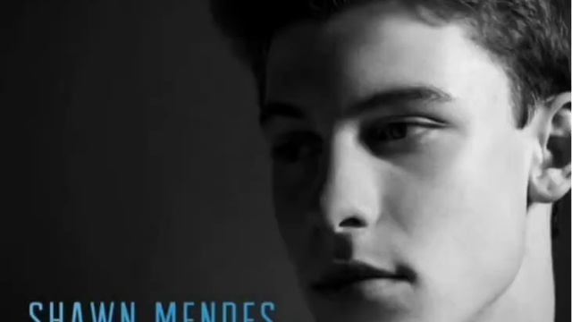 Shawn Mendes - The Weight [1 HOUR]