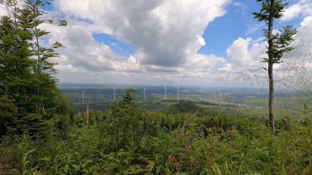 ВЕС 1 Старий Самбір 4-К