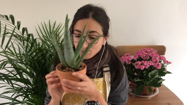 ASMR 🎧 ROLEPLAY JARDINERIE 🌿 смотреть онлайн