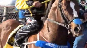 Скачки на лошадях в Колумбии  🎠