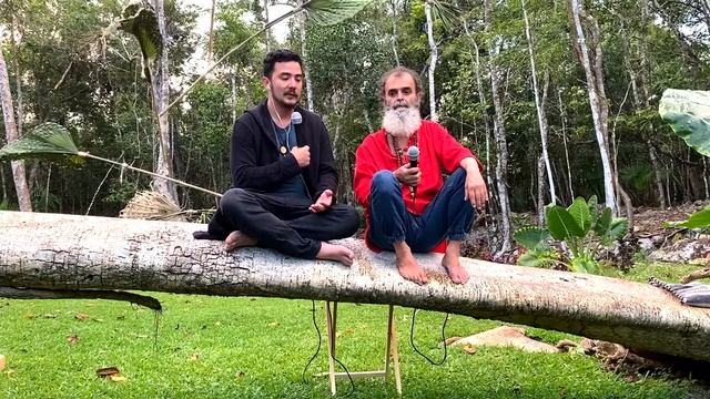 entrevista a alfonso en akasha bufo alvarius смотреть онлайн