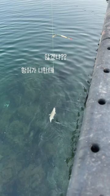 뭔가이유가있지않겠냐 황어도시 смотреть онлайн