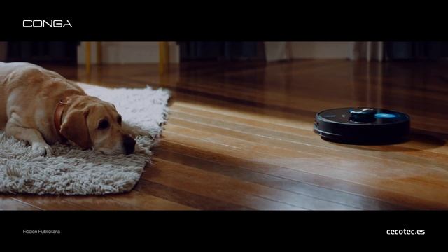 Robot aspirador Conga 7090 IA Spot TV Aqui te pillo смотреть онлайн