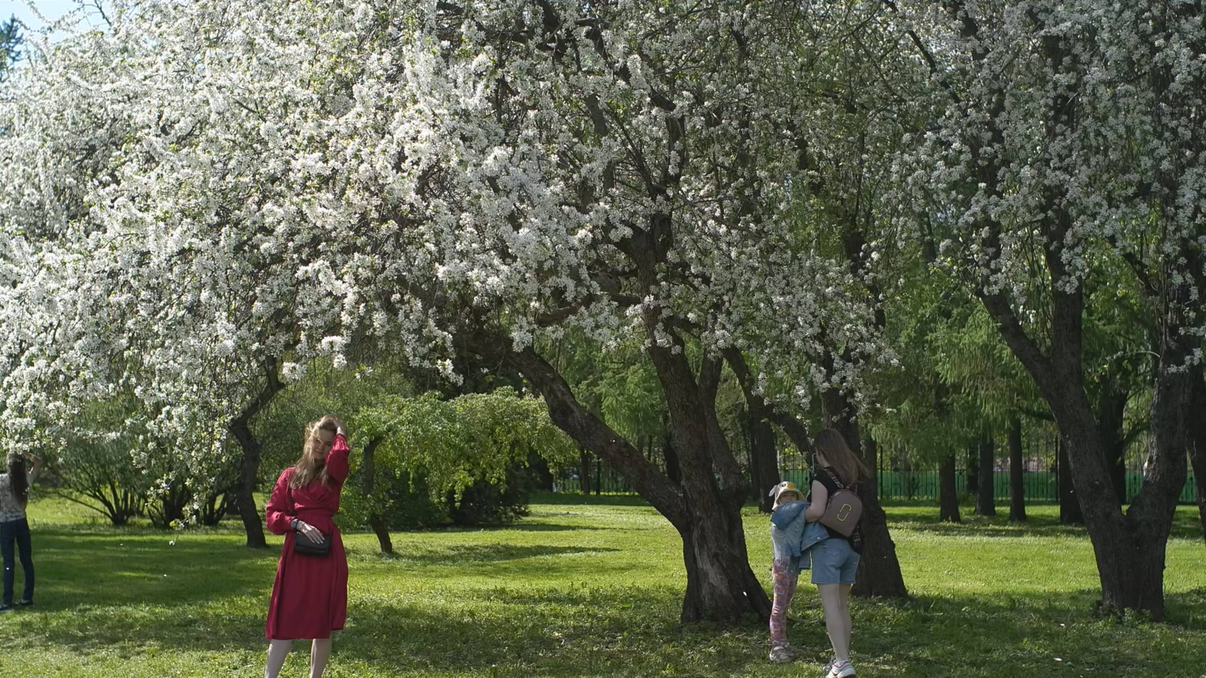 Москва – Ботанический сад 2 смотреть онлайн