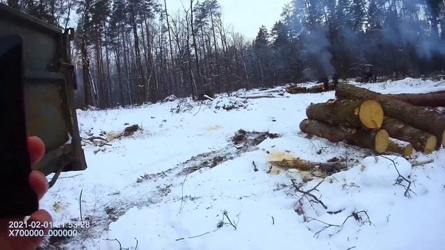 F.C#15 Метим лесокрада. Вор попался повторно. Пилорамы Мощуна смотреть онлайн