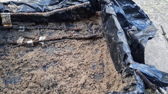 Лоза для прищеп та на саджанці для себе у сезоні 2023