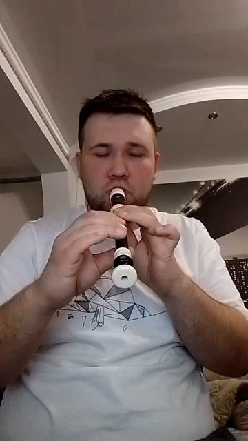 Известная казачья песня на Блокфлейте /Любо,братцы,любо!