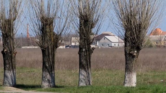 Каховка,Светлово,частный сектор 02.04.2020г. смотреть онлайн