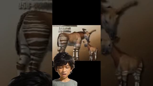 Edukasi Animasi Sivatherium #jurassicpark #dinosaur #movie #animals смотреть онлайн