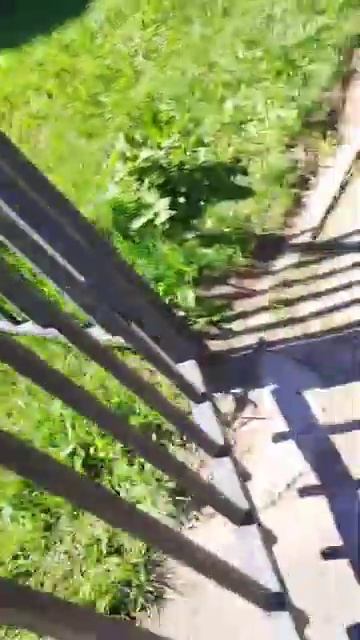 10 июля 2024 г. смотреть онлайн