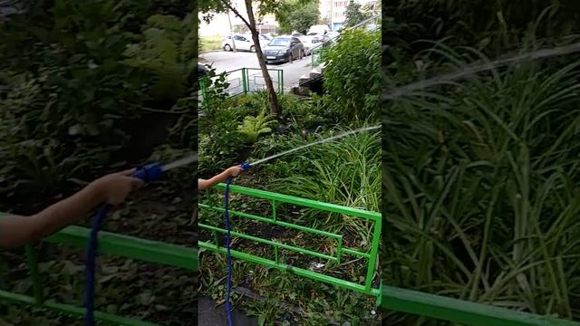 26 июля 2020 г. смотреть онлайн