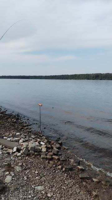 Рыбалка началась