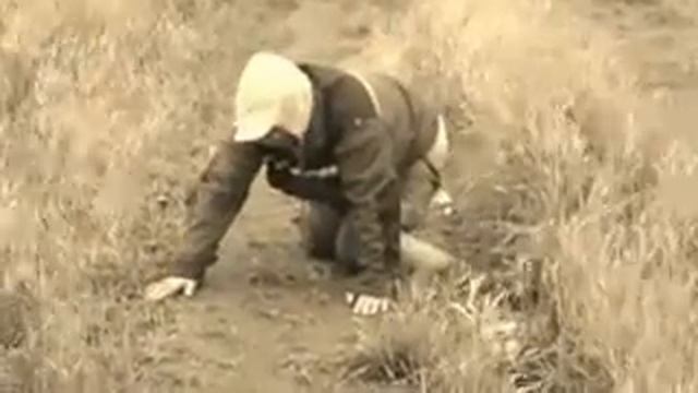 восхождение! смотреть онлайн