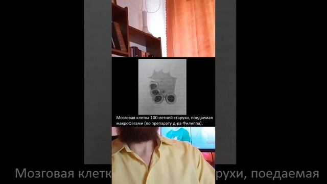 Учёные не против мифов. Старение / Scientists are not against myths. Aging (English subtitles)#agin смотреть онлайн