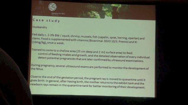 Ultrasound assessment of pregnant ribbontail stingrays, Taeniura lymma- can fetal growth evaluation