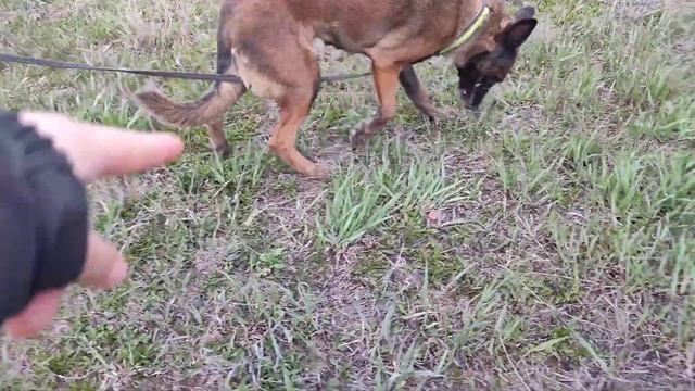 Джили. След 03.05.2022 г. смотреть онлайн